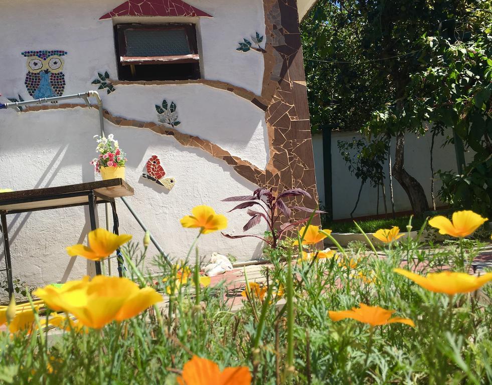 Pink Guest House Obzor Εξωτερικό φωτογραφία
